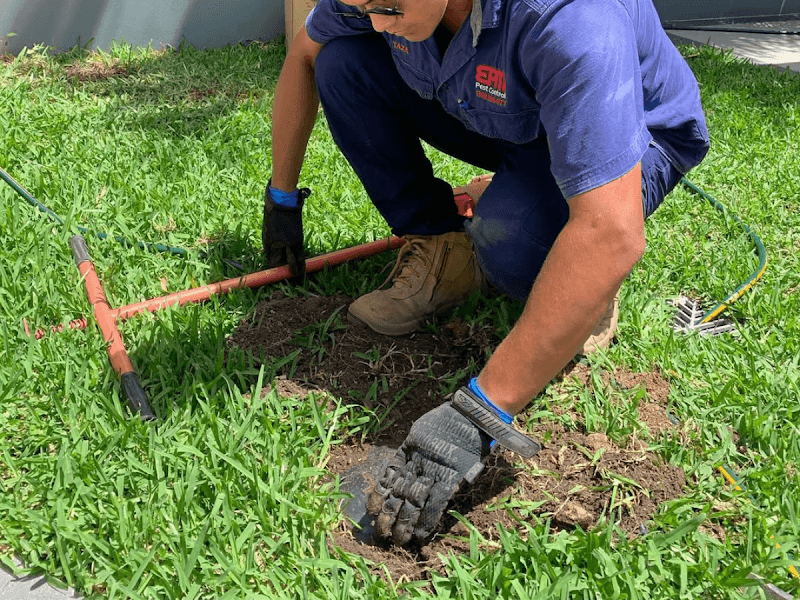 EPM Pest & Termite Control Brisbane pest control work in Rocklea