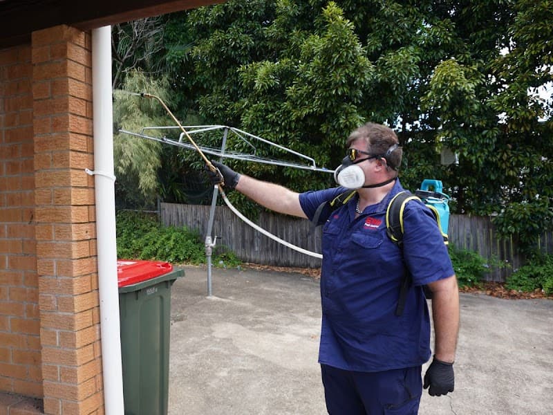 EPM Pest & Termite Control Brisbane pest control work in Rocklea