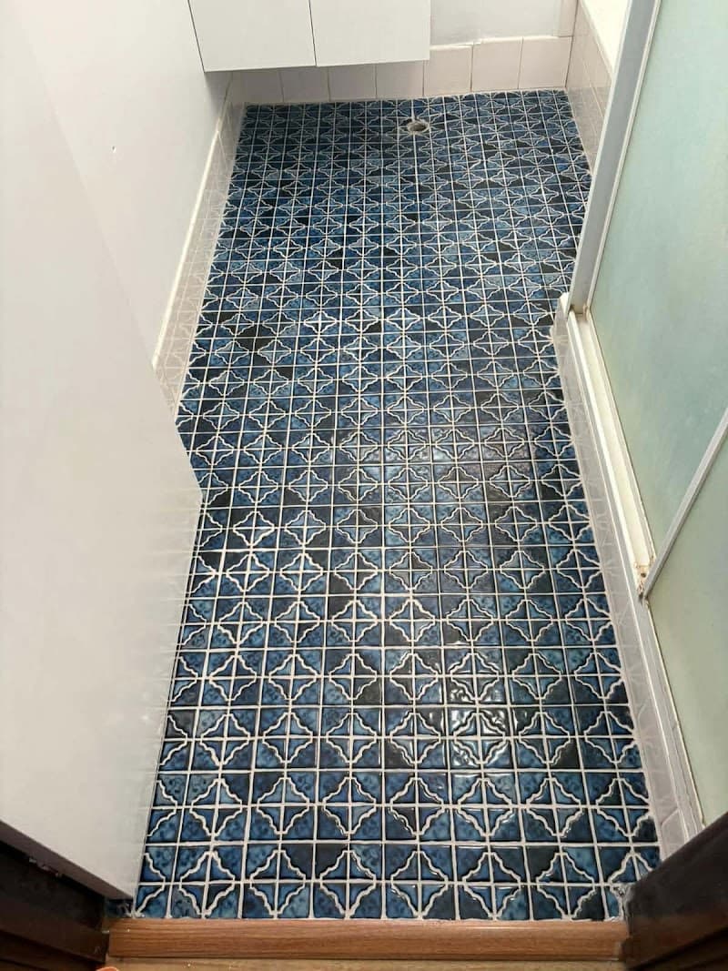Epoxy Shower Repairs waterproofing work in Meadow Springs