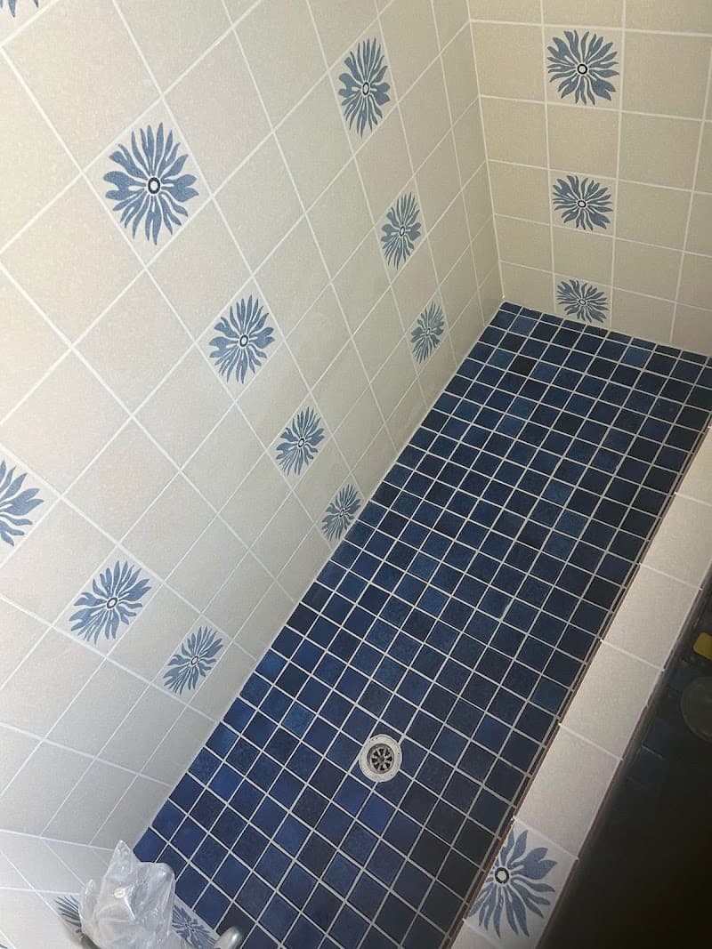 Epoxy Shower Repairs waterproofing work in Meadow Springs