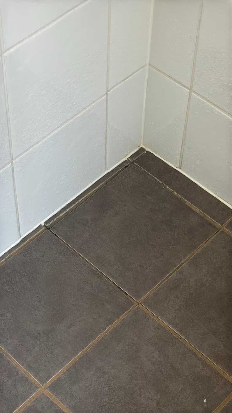 Epoxy Shower Repairs waterproofing work in Meadow Springs