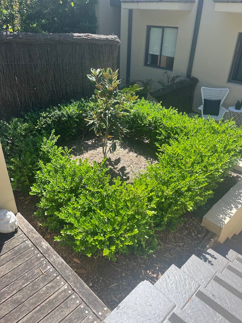Essential Lawn and Garden Care gardening work in Kirrawee