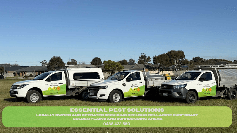 Essential Pest Solutions - Pest Control Geelong pest control work in Breakwater