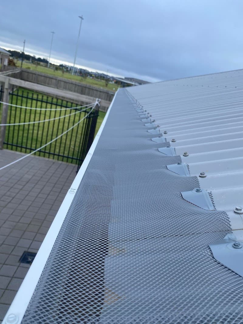 Essential Pest Solutions - Pest Control Geelong pest control work in Breakwater
