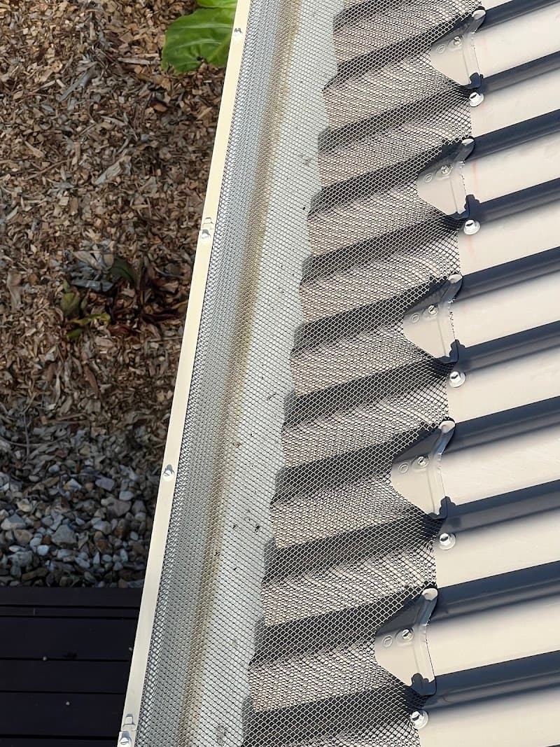 Essential Pest Solutions - Pest Control Geelong pest control work in Breakwater
