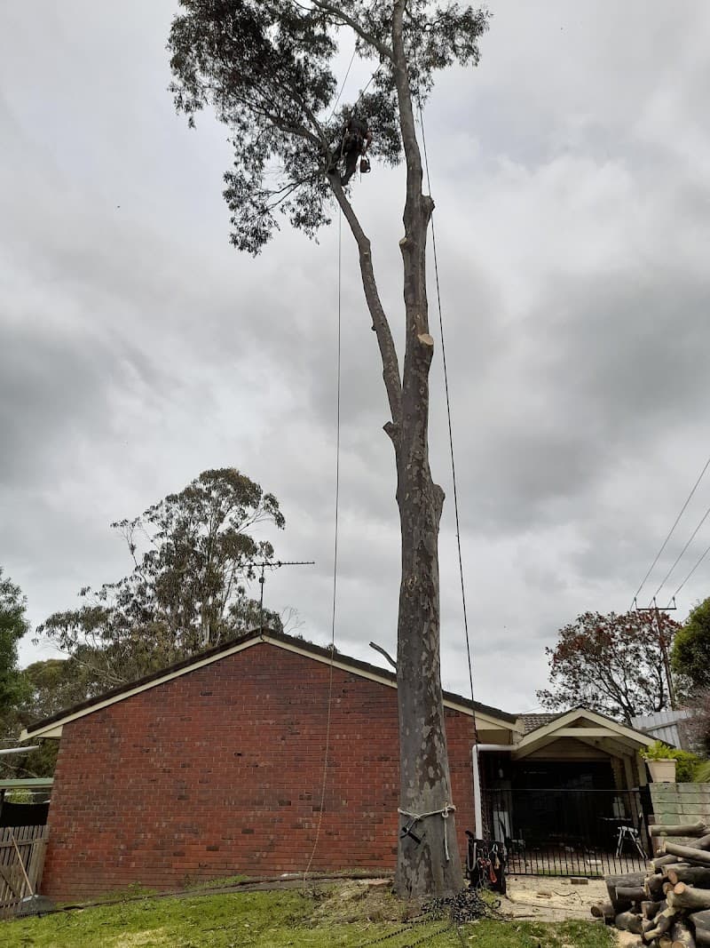Eumeralla Contracting landscaping work in Mount Gambier