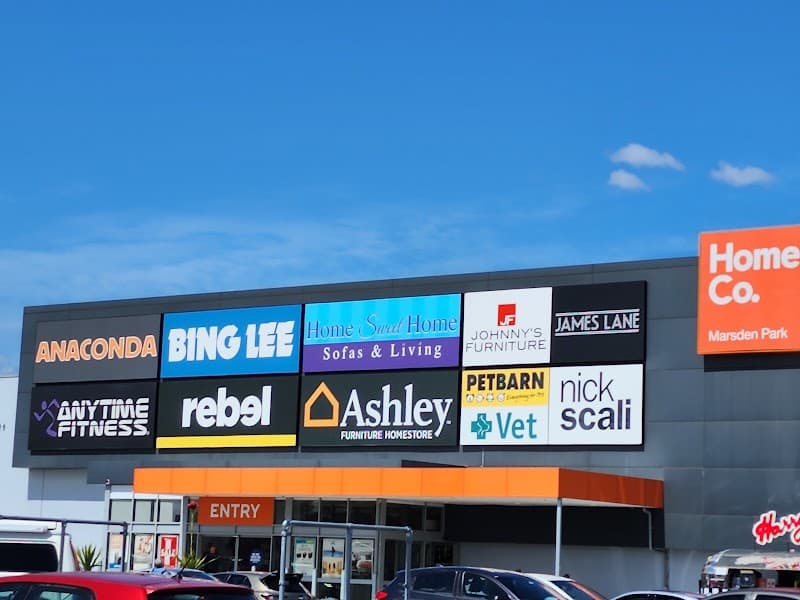 Europa Pest Solutions pest control work in Dulwich Hill