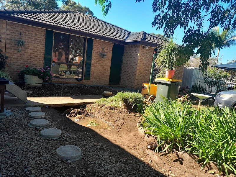 Europa Pest Solutions pest control work in Dulwich Hill