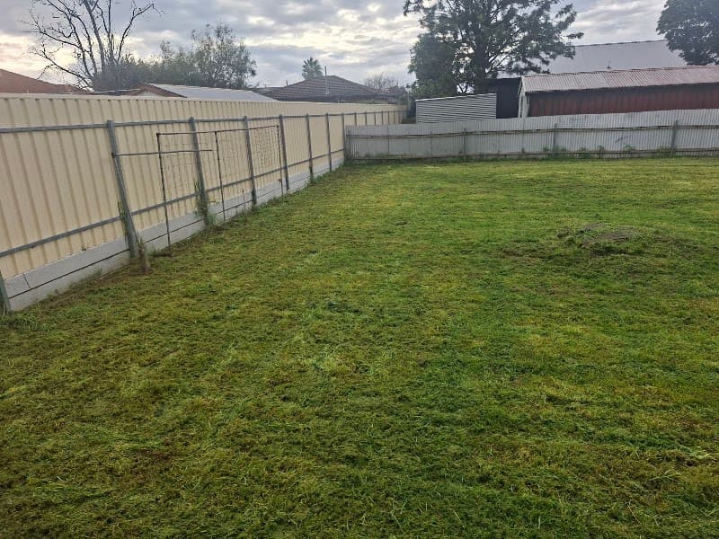 Evergreen Gardening Services lawn care work in Fulham Gardens