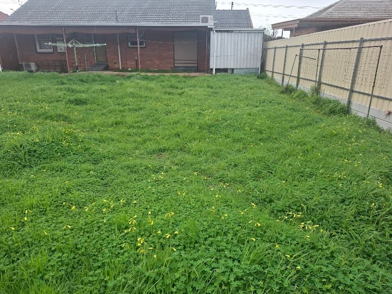 Evergreen Gardening Services lawn care work in Fulham Gardens
