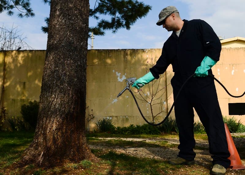 EVO Pest Control pest control work in Oatlands