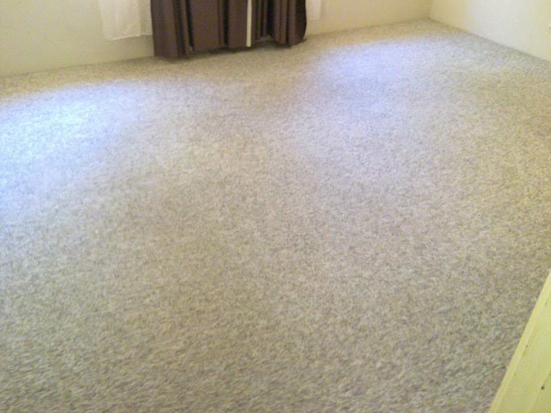 Excel Carpet and Tile Cleaning carpet cleaning work in Glen Iris