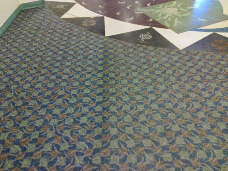 Excel Carpet and Tile Cleaning carpet cleaning work in Glen Iris