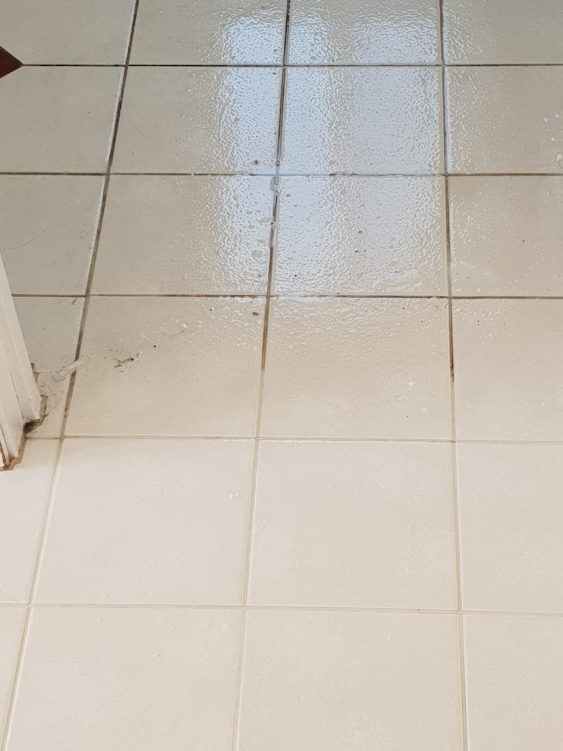 Excel Carpet and Tile Cleaning carpet cleaning work in Glen Iris