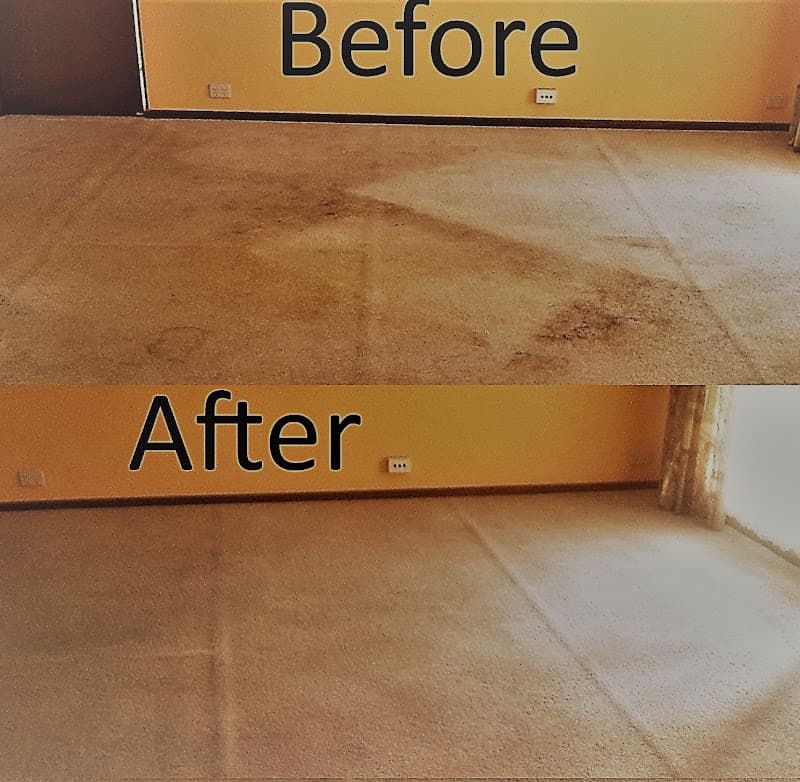 Excel Carpet and Tile Cleaning carpet cleaning work in Glen Iris