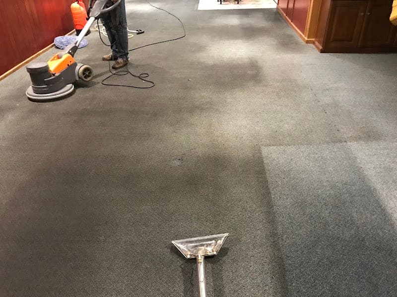 Executive Carpet Care carpet cleaning work in Gawler East