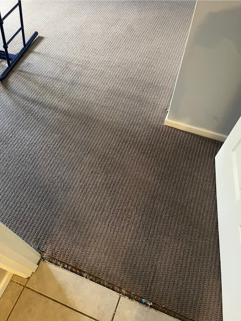 Express Dry Carpet Cleaning & Pest Control carpet cleaning work in Tanah Merah