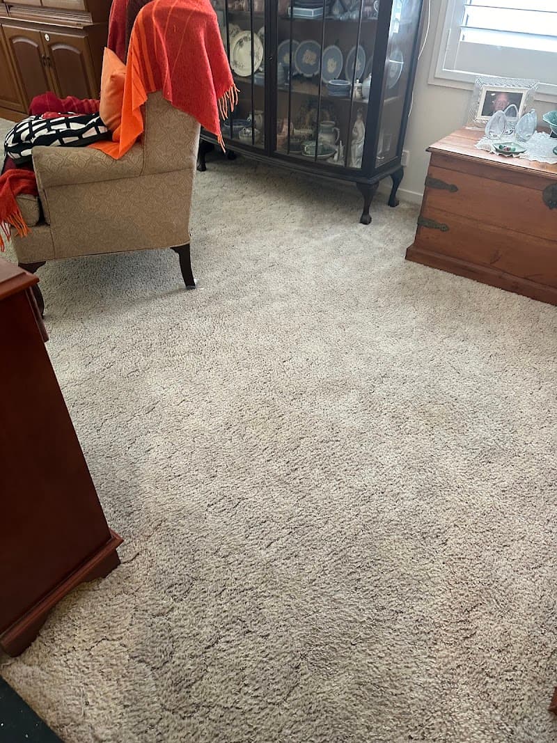ExtraClean carpet cleaning work in Capalaba