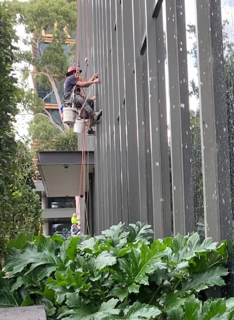 Extreme window cleaning & Maintenance Pty Ltd gutter cleaning work in Mount Martha