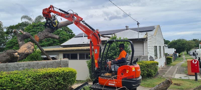EZ-AS TREE SERVICE tree services work in Narangba