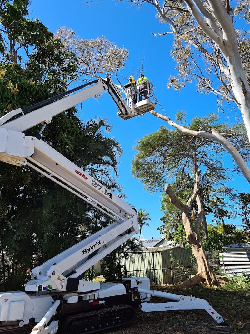EZ-AS TREE SERVICE tree services work in Narangba