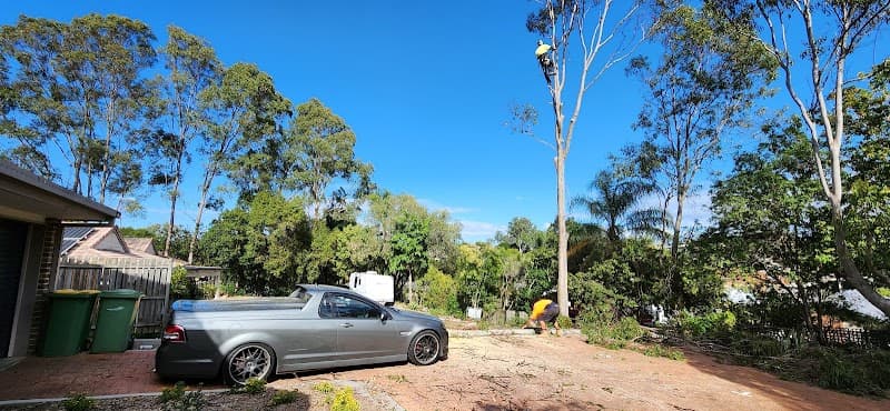 EZ-AS TREE SERVICE tree services work in Narangba