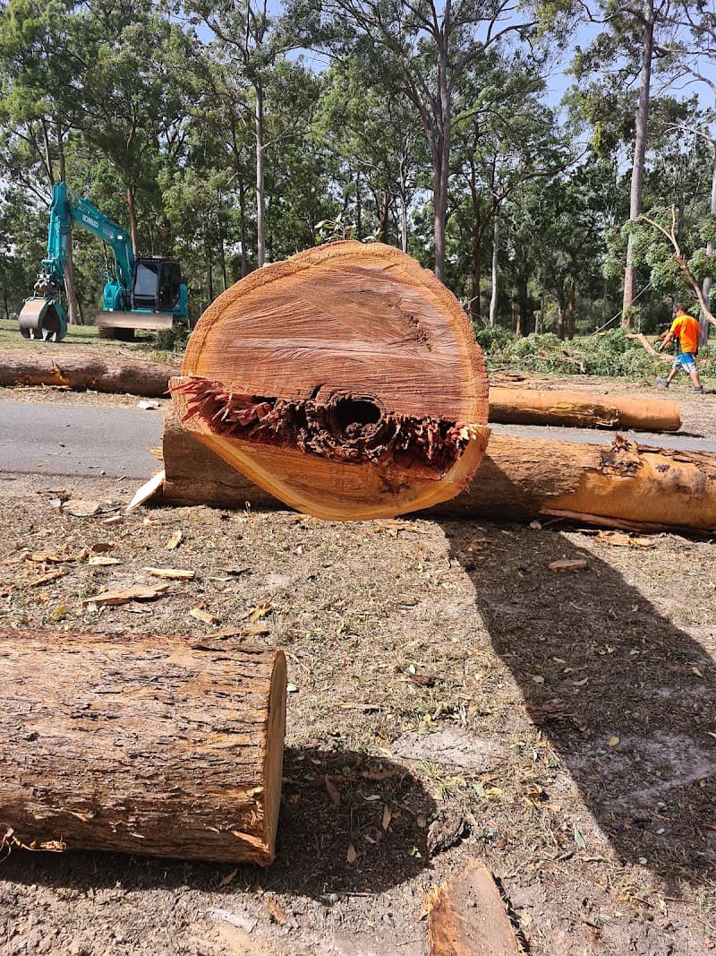 EZ-AS TREE SERVICE tree services work in Narangba