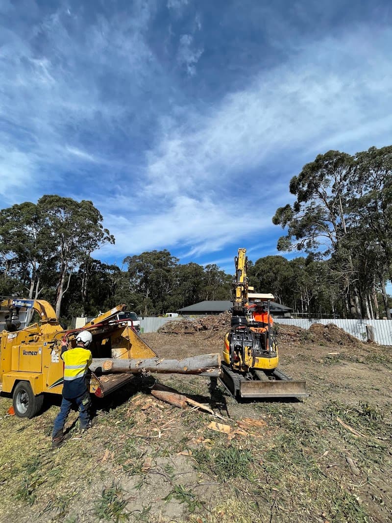 EziClip Tree Service tree services work in New Lambton Heights