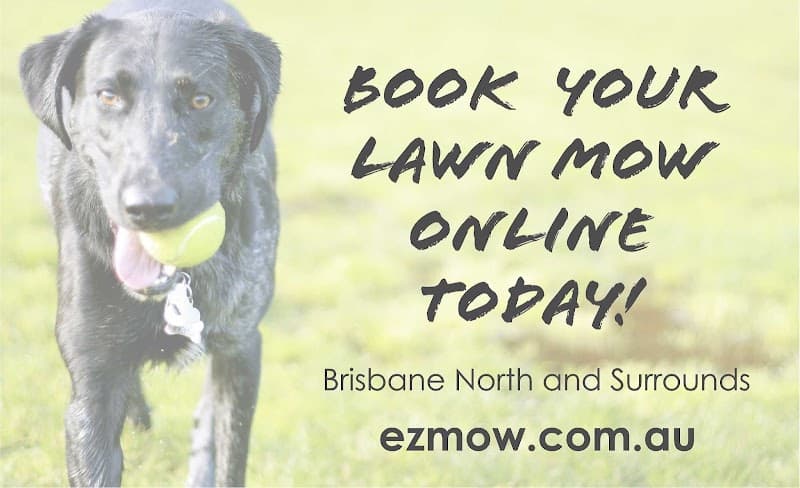 EZMow lawn care work in Deagon