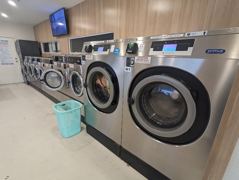 Ezy & Green Dry Cleaning cleaning work in Gawler South