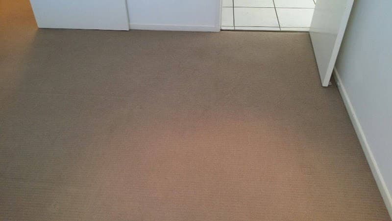 Family Friendly Group; Carpet Cleaning & Pest Control carpet cleaning work in Baringa