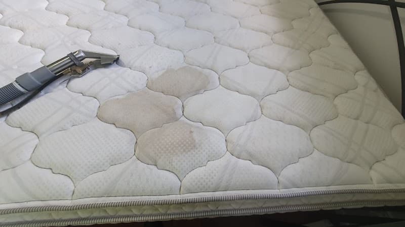 Family Friendly Group; Carpet Cleaning & Pest Control carpet cleaning work in Baringa