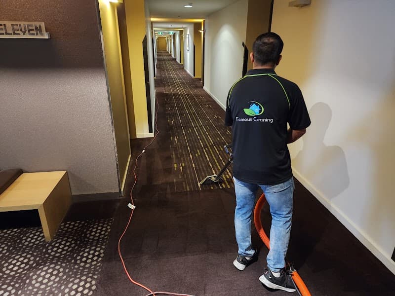 Famous Carpet Cleaning carpet cleaning work in Adelaide