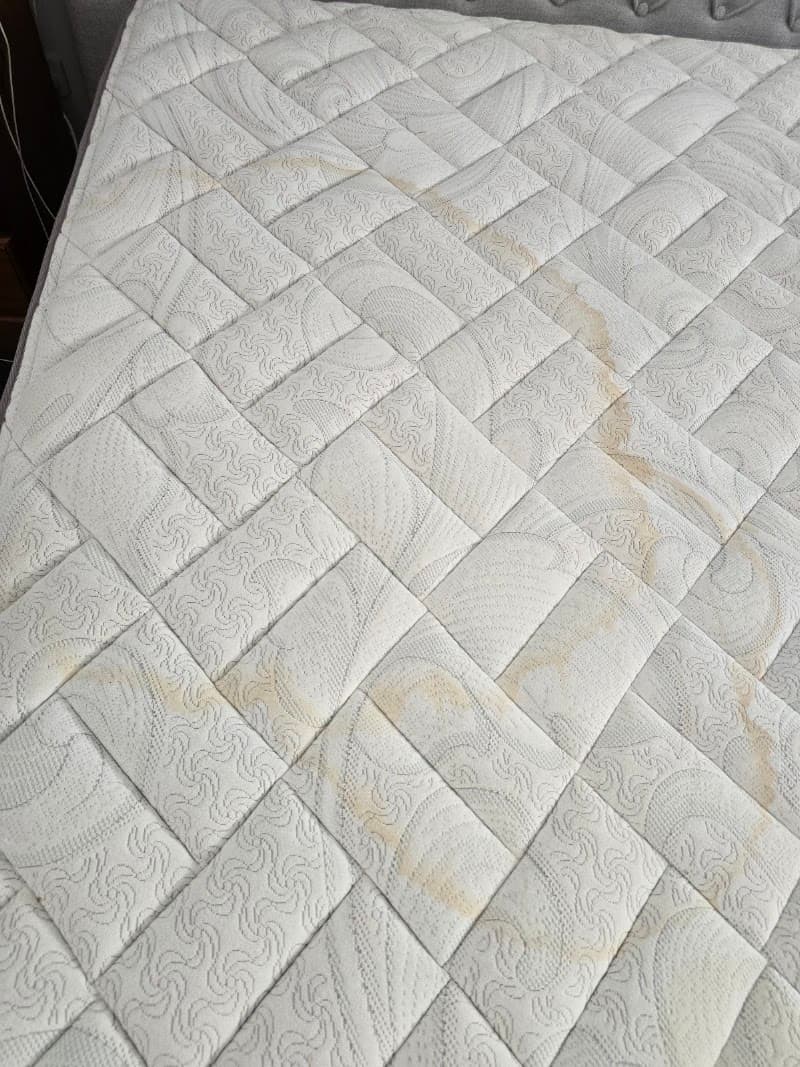Famous Cleaning Services carpet cleaning work in Parafield Gardens