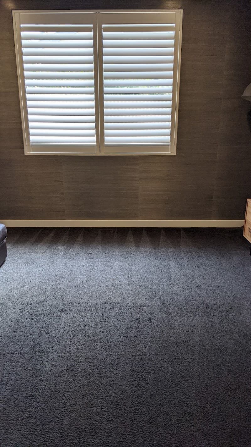 Famous Cleaning Services carpet cleaning work in Parafield Gardens