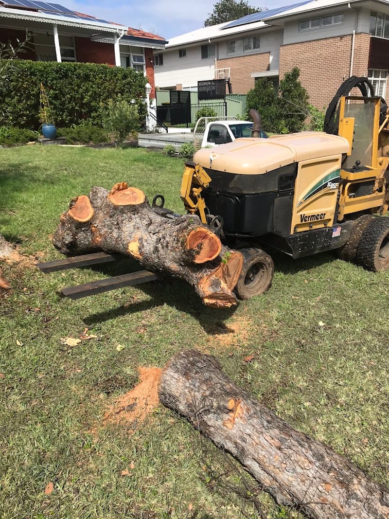 Fast Call Tree Service tree services work in Baulkham Hills