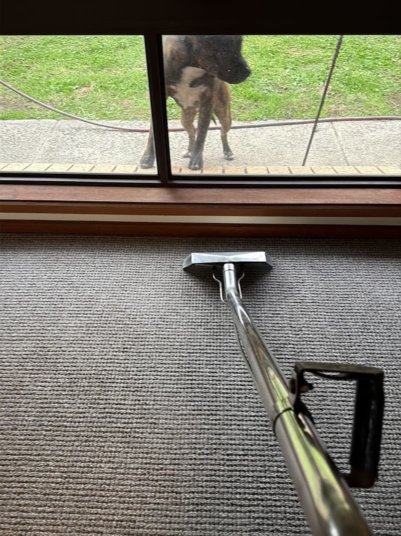 Fastline Carpet Cleaning & Steam Cleaning Services carpet cleaning work in Pakenham