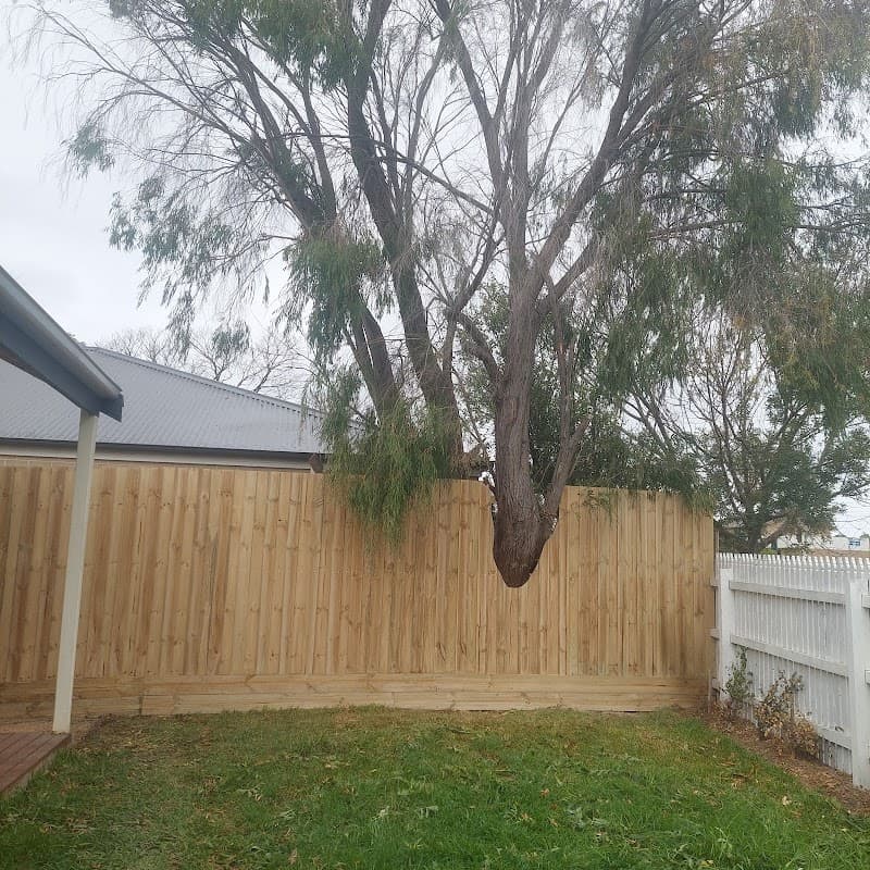 Fence 55 fencing work in Mornington