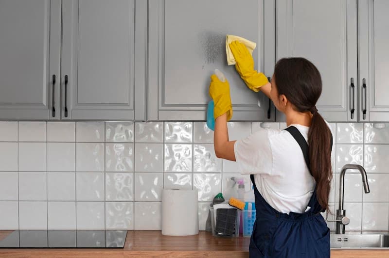 Filo Cleano Services Pty Ltd cleaning work in Hackney