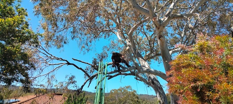 Final Cut Tree Solutions tree services work in Happy Valley