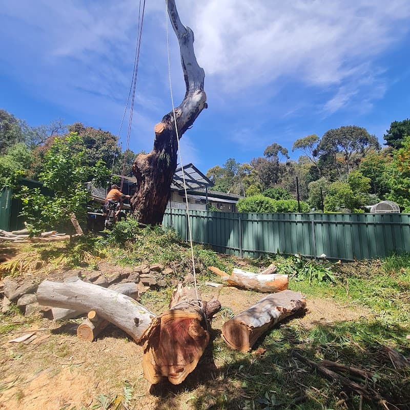 Final Cut Tree Solutions tree services work in Happy Valley