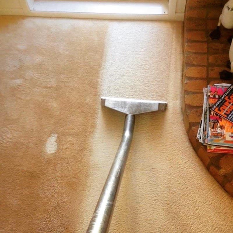 Finesto pest control work in Harristown