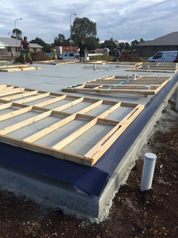 Finesto pest control work in Harristown