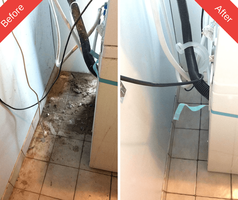 First Call Home Services cleaning work in Springfield Central