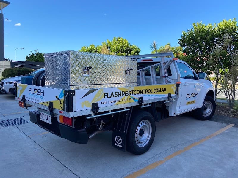 Flash Pest Control pest control work in Morayfield