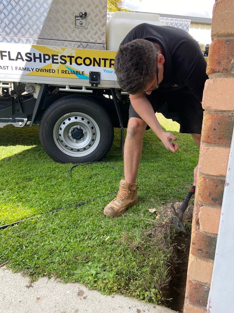 Flash Pest Control pest control work in Morayfield