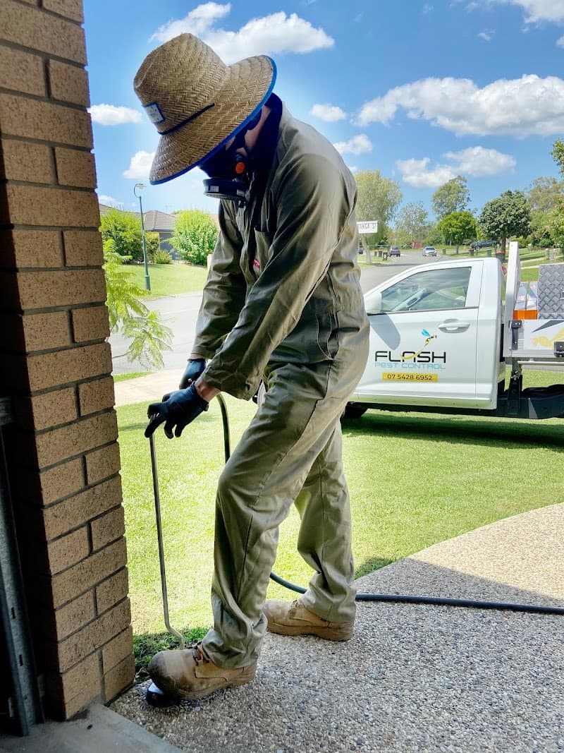 Flash Pest Control pest control work in Morayfield