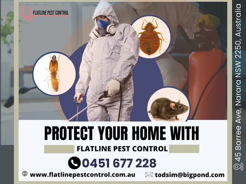 Flatline Pest Control - Pest Control Central Coast / Springfield / West Gosford / Erina / Beauty Bay / pest control work in Narara