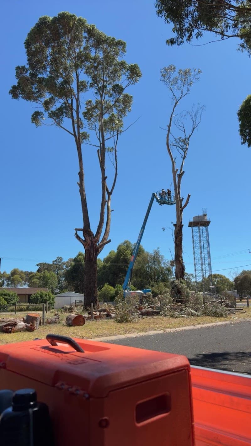 FLC Services landscaping work in Mount Gambier