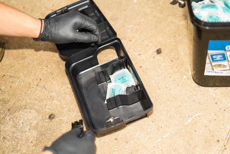 Fleet Pest Control pest control work in Elwood